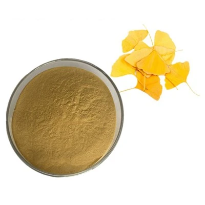 Estratto di Ginkgo Biloba CAS 90045-36-6