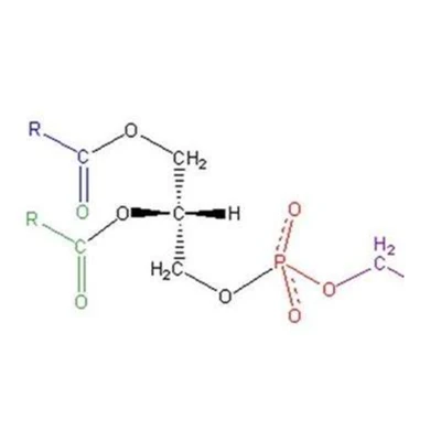 Fosfatidilserina CAS 51446-62-9